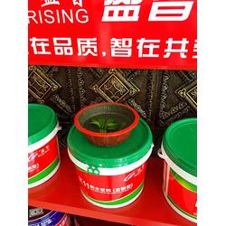 江门防水涂料招商,盈智防水,防水涂料招商生产厂家